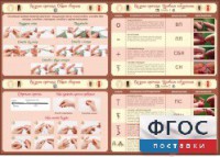 Стенд "Вязание крючком" - fgospostavki.ru - Томск