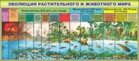 Стенд "Эволюция растительного и животного мира" - fgospostavki.ru - Томск