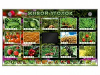 Комплект оборудования "Живой уголок" (растения) - fgospostavki.ru - Томск