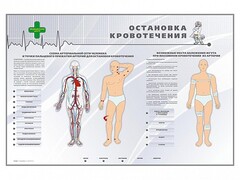 Электрифицированный стенд "Остановка кровотечения" - fgospostavki.ru - Томск