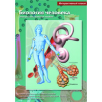 Интерактивные плакаты. Биология человека. Программно-методический комплекс - fgospostavki.ru - Томск