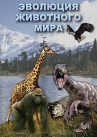 DVD "Эволюция животного мира" - fgospostavki.ru - Томск