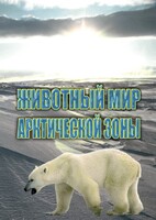 DVD "Животный мир Арктической зоны" - fgospostavki.ru - Томск