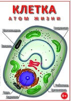 DVD "Клетка - "атом жизни" - fgospostavki.ru - Томск