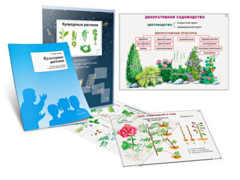 Комплект кодотранспарантов "Культурные растения" - fgospostavki.ru - Томск