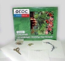 Гербарий "Основные группы растений" (52 листа) - fgospostavki.ru - Томск