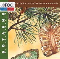 Ботаника. Микрофотографии. (Цифровая база изображений) - fgospostavki.ru - Томск