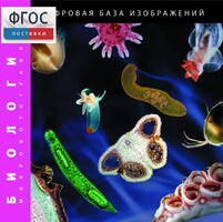 Биология. Микрофотографии. (Цифровая база изображений) - fgospostavki.ru - Томск