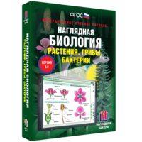 Наглядная биология. 6 класс. Растения. Грибы. Бактерии - fgospostavki.ru - Томск
