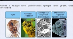 Интерактивные курсы. Биология 5 класс. Расширенный - fgospostavki.ru - Томск