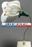 Модель "Цветок гороха" - fgospostavki.ru - Томск