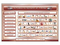 Трехсекционный базовый комплект "Травмы. Кровотечения. Ожоги" для учащихся общеобразовательных учреждений - fgospostavki.ru - Томск