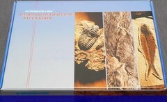 Коллекция "Палеонтологическая" (16 образцов) - fgospostavki.ru - Томск