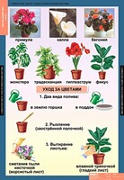 Комплект таблиц. Окружающий мир 1 класс. - fgospostavki.ru - Томск