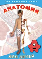 DVD "Анатомия для детей" - fgospostavki.ru - Томск