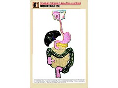 Рельефная таблица "Пищеварительный тракт" (формат А1, матовое ламинирование) - fgospostavki.ru - Томск