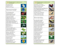 Комплект карточек (10) "Обучающий калейдоскоп. Природа" - fgospostavki.ru - Томск