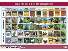 Таблица демонстрационная "Почвы, растения и животные природных зон" (винил 70*100) - fgospostavki.ru - Томск