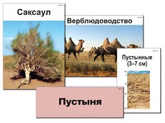 Модель-аппликация "Природные зоны России" (ламинированная) - fgospostavki.ru - Томск