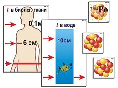 Модель-аппликация "Явление радиоактивности" (ламинированная) - fgospostavki.ru - Томск