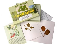 Гербарий "Систематика растений. Семейство Розоцветные" (раздаточный) - fgospostavki.ru - Томск