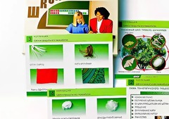 Коллекция "Шелк и продукты его переработки" (средняя школа) - fgospostavki.ru - Томск