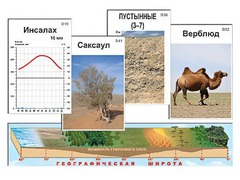 Модель-аппликация "Природные зоны" - fgospostavki.ru - Томск