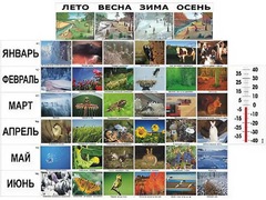 Фенологические наблюдения - fgospostavki.ru - Томск