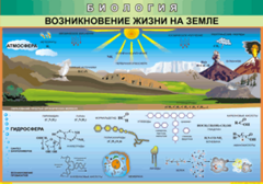 Таблица "Возникновение жизни на земле" (100х140 сантиметров, винил) - fgospostavki.ru - Томск