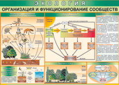 Таблица "Организация и функционирование сообществ" (100х140 сантиметров, винил) - fgospostavki.ru - Томск