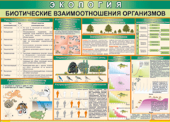 Таблица "Биотические взаимоотношения организмов" (100х140 сантиметров, винил) - fgospostavki.ru - Томск