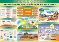 Таблица "Антропогенное воздействие на биосферу" (100х140 сантиметров, винил) - fgospostavki.ru - Томск