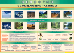 Таблица "Экология. Обобщающие таблицы" (100х140 сантиметров, винил) - fgospostavki.ru - Томск