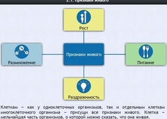 Интерактивные курсы. Биология 5 класс. Базовый - fgospostavki.ru - Томск