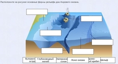 Интерактивные курсы. География 7 класс . Базовый. - fgospostavki.ru - Томск
