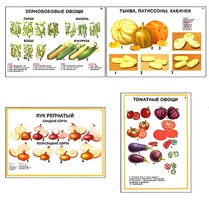 Плакаты ПРОФТЕХ "Ассортимент овощных культур" (12 пл, винил, 70х100) - fgospostavki.ru - Томск