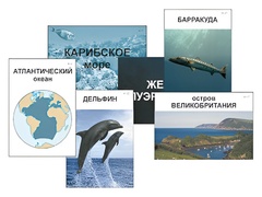 Модель-аппликация "Океаны. Знакомство" (ламинированная) - fgospostavki.ru - Томск