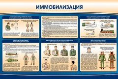Стенд "Иммобилизация" - fgospostavki.ru - Томск