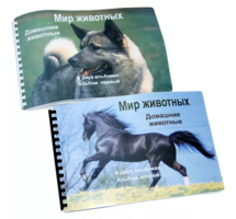 Пособие для слабовидящих - Домашние животные - fgospostavki.ru - Томск