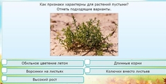 Интерактивные курсы. Окружающий мир 3 класс . Базовый. - fgospostavki.ru - Томск