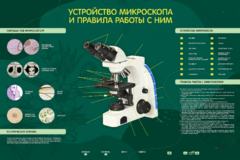 Электрифицированный стенд "Устройство микроскопа и правила работы c ним" - fgospostavki.ru - Томск