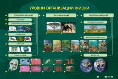 Электрифицированный стенд "Уровни организации жизни" - fgospostavki.ru - Томск
