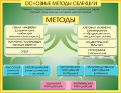 Стенд "Методы селекции и биотехнологии" - fgospostavki.ru - Томск
