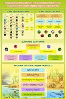 Стенд "Классификация животного мира" - fgospostavki.ru - Томск