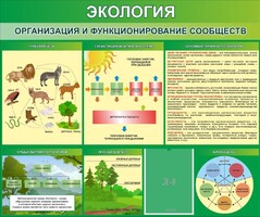 Стенд "Экология. Организация и функционирование сообществ" - fgospostavki.ru - Томск
