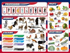 Стенд "Цвета, животные, профессии, фрукты, овощи" - fgospostavki.ru - Томск