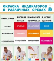 Стенд "Окраска индикаторов в различных средах" - fgospostavki.ru - Томск