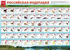 Стенд "Красная книга РФ" - fgospostavki.ru - Томск