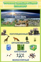 Стенд "Уровни организации живого" - fgospostavki.ru - Томск