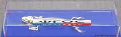 Скелет ящерицы - fgospostavki.ru - Томск